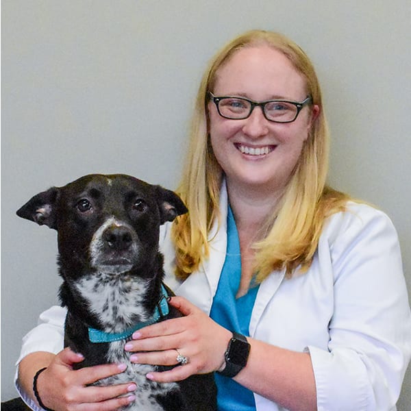 Dr. Caitlin Herriott, Ankeny Veterinarian